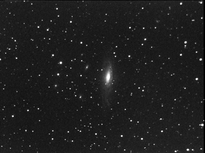 NGC7331